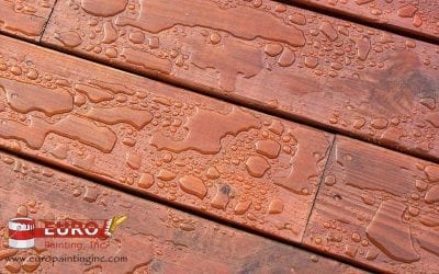 Deck Cleaning and Maintenance Part 1